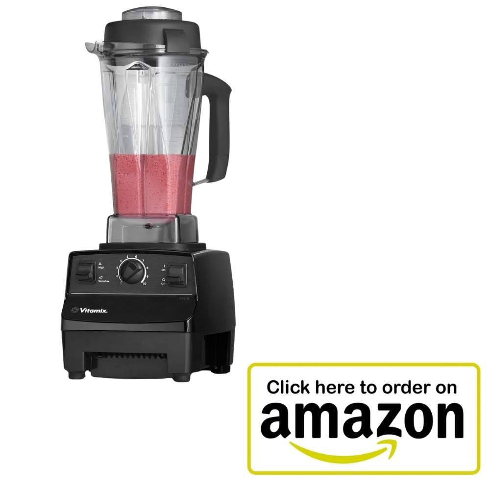 vitamix versus ninja blender