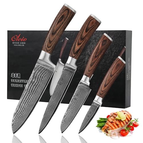 Wakoli EDIB 4-Piece Damascus Knife Set – VG10 Core Blades
