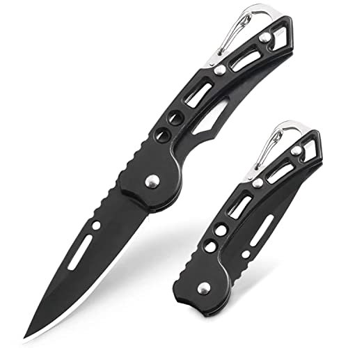 QZL EDC Pocket Knife for Men, Small Folding Keychain Knife