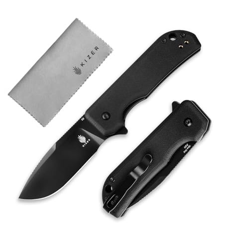 Kizer Nice Guy Pocket Folding Knife, 2.84” D2 Steel Blade