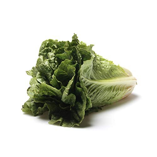 gain eco-friendly laundry detergent vs conventional cleaning power - Lettuce Romaine Conventional, 1 Each