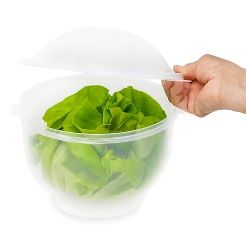 Home-X Lettuce Keeper - BPA-Free Lettuce Keeper for fresh...