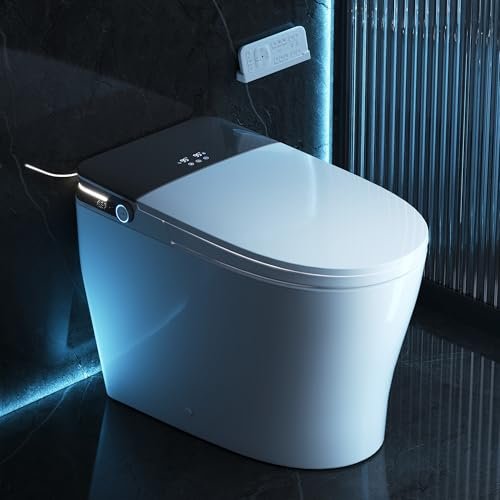 DeerValley Smart Toilet with Bidet Built in, Auto Open.
