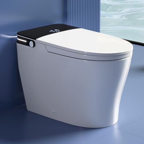DeerValley Bidet Toilet, 1000g MaP Auto Flush, ADA Seat