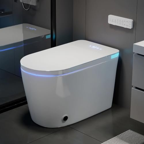 TOTTE Smart Toilet with Bidet Built-in, Auto Open/Close Lid.