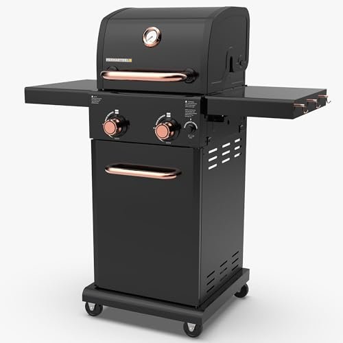 Permasteel 2-Burner Propane Gas Grill, BBQ Grill with Side...