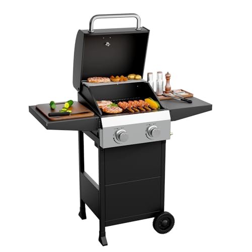 ROVSUN 2 Burner Propane Gas Grill with Foldable Shelves.