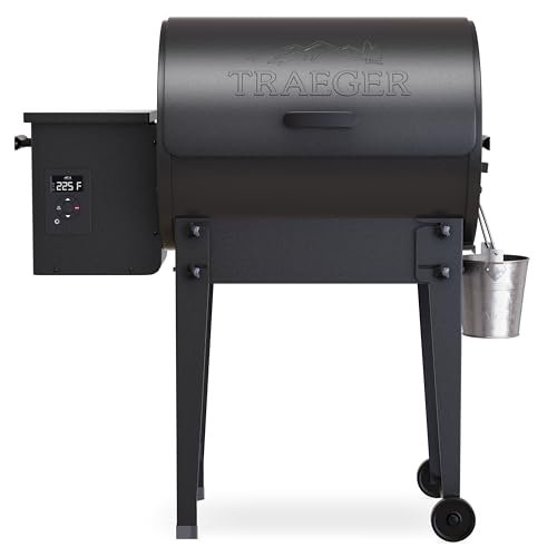 Traeger Tailgater Portable Wood Pellet Grill & Smoker