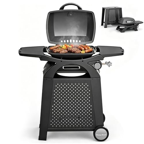 MASTER COOK Single Burner Propane Gas Grill, portable...