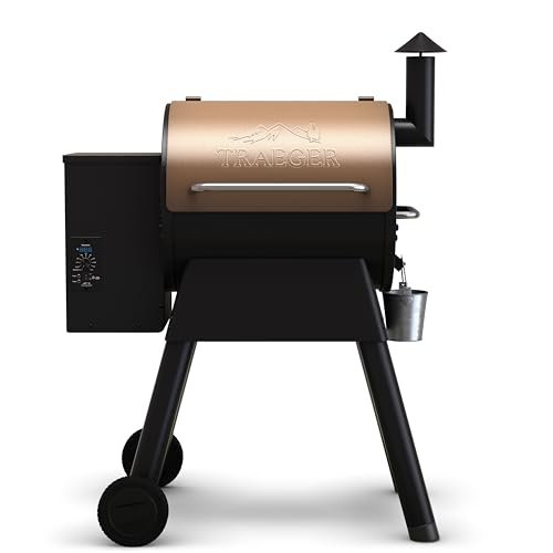 Traeger Pro 22 Wood Pellet Grill & Smoker 572