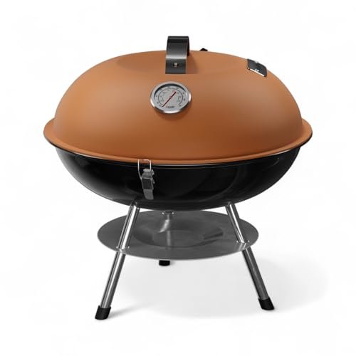 Best Bbq Grill for the Money - comprehensive buying guide and reviews