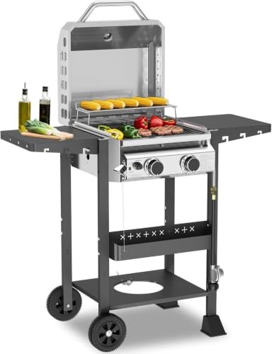 Best Two Burner Grill - comprehensive buying guide and reviews